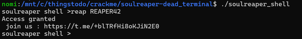 The soulreaper shell accepting REAPER42 and printing Access granted.