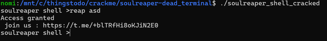 The patched soulreaper shell accepting an invalid key and printing Access granted.