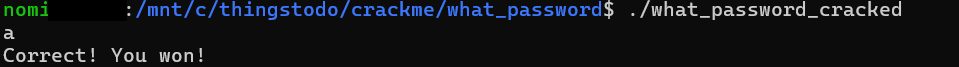 Terminal showing the patched crackme accepting a one-character input.
